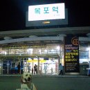 세하 이미지