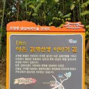 밤실지 이미지