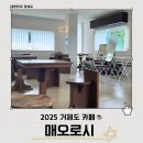 근포땅굴 | 거제도 근포땅굴 근처 반려동물 동반 카페 매오로시 (내돈내산)