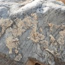 영신숲길3 이미지