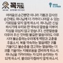 콩깍지
