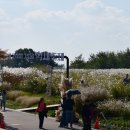 하늘공원 이미지