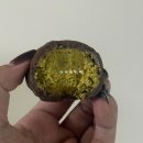 GS25 포항죽도중흥점 | 25년 12월 일상일기(2) | 251216 ~ 251231