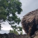 오광준가옥 이미지