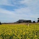 기원목장 이미지