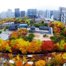 조그만카페 이미지