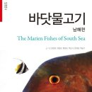 남해-316 이미지