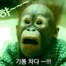 로드하우스식당 이미지