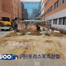 연푸른초등학교 이미지