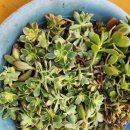 반석농장2 이미지