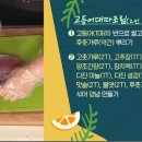 비린내 없이 맛있는 '고등어대파조림' 이미지