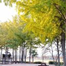 태화강 철새공원 이미지