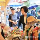템템 이미지