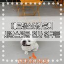 에르멍스 이미지