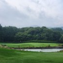 더시에나CC 이미지