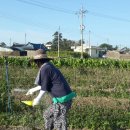 비금농장 이미지