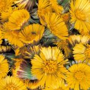 비타민전자 이미지