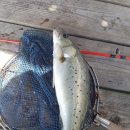 신진좌대 이미지