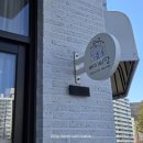 베이비댕 | 대전 애견호텔 / 애견유치원 베이비댕 🐾