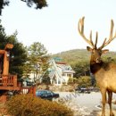 덕산면070 이미지