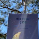 아내뜨 이미지