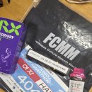 준스포츠 | [공지] 2025 스포츠서울 하프 마라톤 후기