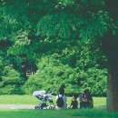 피크닉바람