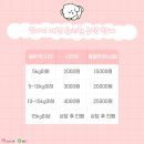 멍머니 2호점 이미지