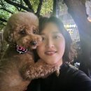 멈머즈 | 애견동반 울산여행(#시래담식당#멈머즈카페#파르테르애견동반식당)