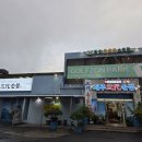 용수4교 밑 화장실 | [제주가족여행_1일차] 부모님과 함께한 제주도 여행일정 (with 제주순풍해장국본점, 에귤타르트, 상가리...