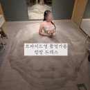 캉캉 | 브라이드영 촬영가봉 캉캉드레스 후기