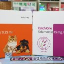 마석백제약국 이미지