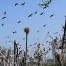 민물천국 이미지