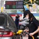 새시민주유소 머니투데이