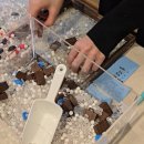 북촌5길 | 오늘의집 북촌 쇼룸 스토리마켓 플리마켓 방문 후기