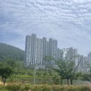 웅천북4로 네이버블로그
