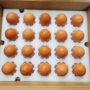 양촌농원 2농장 이미지