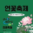 열 네번째를 맞은 강릉시 강동면 풍호마을 연꽃 축제