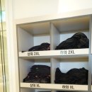 샤인휘트니스 이미지