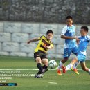 제천종합운동장 이미지