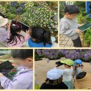 제이그림나라유치원 이미지