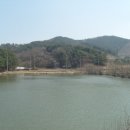 침곡지 이미지
