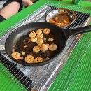 물소리N | 양평 글램핑 N9번 리뷰｜가을 단풍 가득한 조용한 감성 힐링 여행