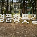 수곡로 이미지
