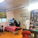 인체교정원 이미지