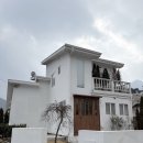 스튜디오77(대원주택) | 대전 웨딩플래너와 오브하우스 촬영 드레스 셀렉부터 촬영까지 함께한 후기