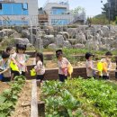 도시농업센터 이미지