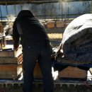 평화양봉산업 이미지