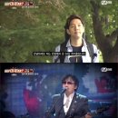 들국화