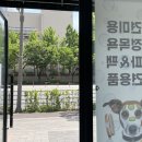 네오펫 이미지
